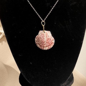 Calico Shell Necklace, One-of-a-kind Seashell Necklace, Coastal Jewelry, Boho, hippie, Valentines day gift, Beach wedding, Bridesmaid gift