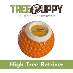 Szczeniak drzewa - Disc Retriever