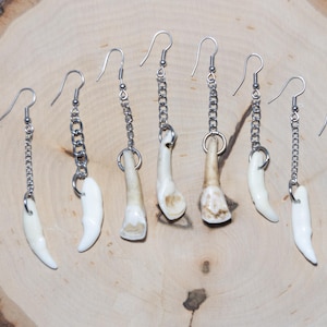 Real Coyote Tooth Earring - Real Camel Tooth Earring - Earring with Sterling Silver Hook - Western Earring