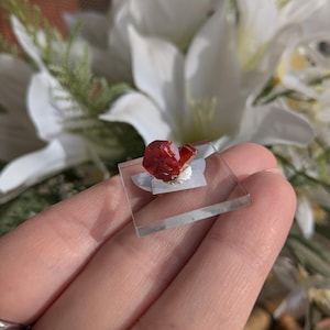 Cristallo di vanadinite grezzo naturale