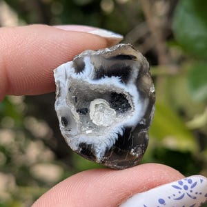 May include: A small, raw agate geode with a dark brown exterior and a white and black interior. The geode has a hollow center with a small, clear crystal. The geode is held between two fingers.