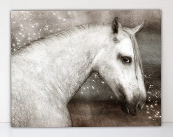 Mystical Dapple Gray Horse Fine Art Print Decor - Animal Lover Wall Decor  - Artistic Horse Wall Art - Gift for a Horse Lover or Owner