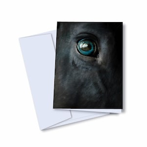 Ensemble de cartes de voeux équestres - dix cartes de correspondance artistiques équines pour les amateurs de chevaux - cadeau photographique d'art de cheval