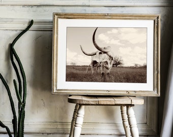 Longhorn Cow Wall Art, Cattle Ranch Photography, Sepia 8 x 10 Print