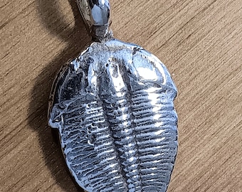 Cast, silver, trilobite, fossil, pendant, Elrathia Kingi, Utah trilobite, natural, Antelope springs, collector, trilobite jewelry,