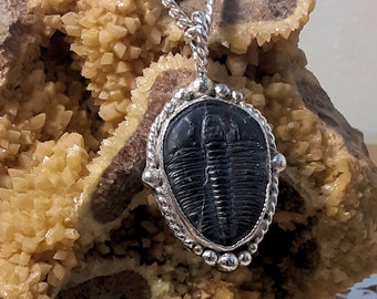 Natural, fossil, trilobitei, pendant,, Elrathia King, necklace, Handmade, trilobite jewelry, fossil jewelry