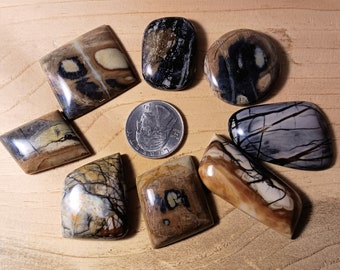 Picasso marble, jasper, cabochon, 8 piece set, jewelry making, wire wrapping, stone collecting, Utah rock hounding, Utah gemstones,