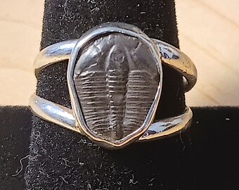 Natural, Utah, fossil, trilobite, ring, jewelry grade, authentic, Elrathia Kingi, sterling silver, double band, unisex, fossil jewelry,