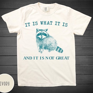 It Is What It Is And It Is Not Great T-Shirt, Mental Health Shirt,Funny Women Tee,Retro Meme Shirt,Raccoon Shirt, Gag Tee ,Y2k funny saying
