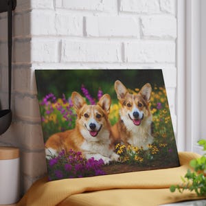 May include: A rectangular canvas print featuring two smiling Pembroke Welsh Corgi dogs lying in a field of purple, yellow, and green flowers. The dogs have brown and white fur.