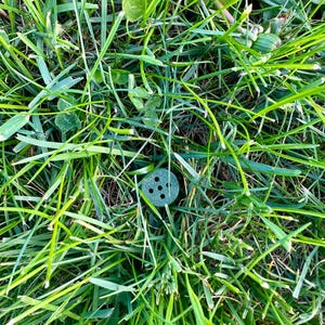 Odor Training Tees: K9 Scent Detection / Nosework Training Tool - 4 Pack