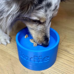 Scent Work Training Bowl: Nosework Detection Tool