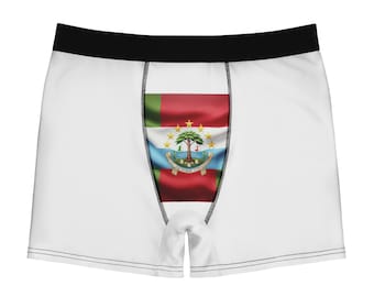 Men's Boxer Briefs with Vibrant Flag Design, Comfortable Underwear, Perfect Gift for Him, Fun and Unique Style, Great for Everyday Wear