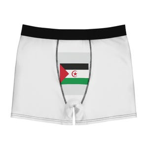 Men&#39;s Boxer Briefs (AOP)