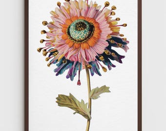 Chrysanthemum Art Print: Flower Floral Minimalist | Whimsical | Colorful | November Birth Flower