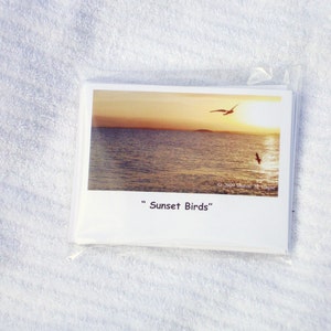 Sunset Birds Set di 6 bigliettini