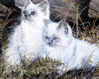 Kathy Hagerman Print, Two White Kittens painted print, 11" by 8 3/4"