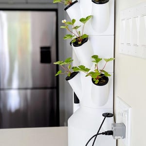 Peut inclure: Jardin hydroponique vertical blanc avec plusieurs plants de fraises. Le jardin comporte plusieurs ouvertures inclinées pour les plantes. Un cordon d'alimentation est branché dans une prise murale. Les plantes ont des feuilles vertes et des tiges rouges.