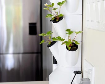 Kitchen Countertop Hydroponic Tower Garden – Grow Fresh Herbs Year-Round!