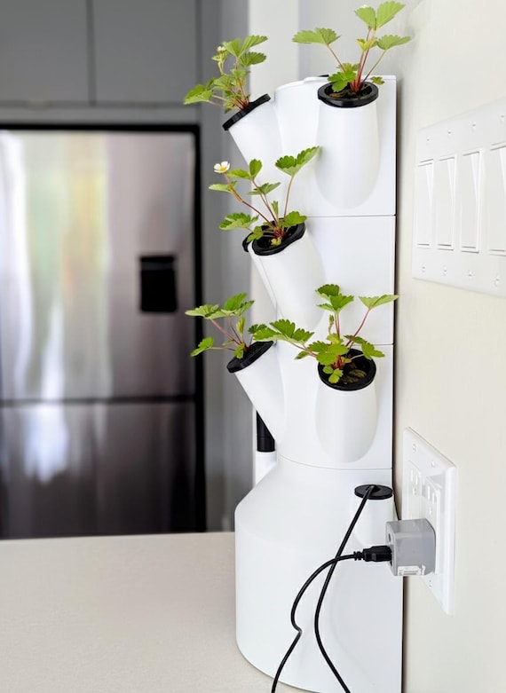 Kitchen Countertop Hydroponic Tower Garden  Grow Fresh Herbs Year-round! -  Etsy
