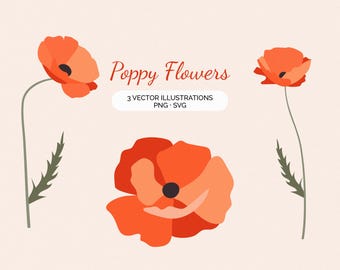 Conjunto de imágenes prediseñadas de amapolas: 3 ilustraciones botánicas dibujadas a mano (SVG + PNG)