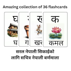 May include: A set of 36 flashcards featuring Nepali alphabet letters with illustrations. The flashcards include images of a house, a pot, a rabbit, and a lotus flower. The text on the flashcards reads "घ", "ग", "खर", and "कमल".