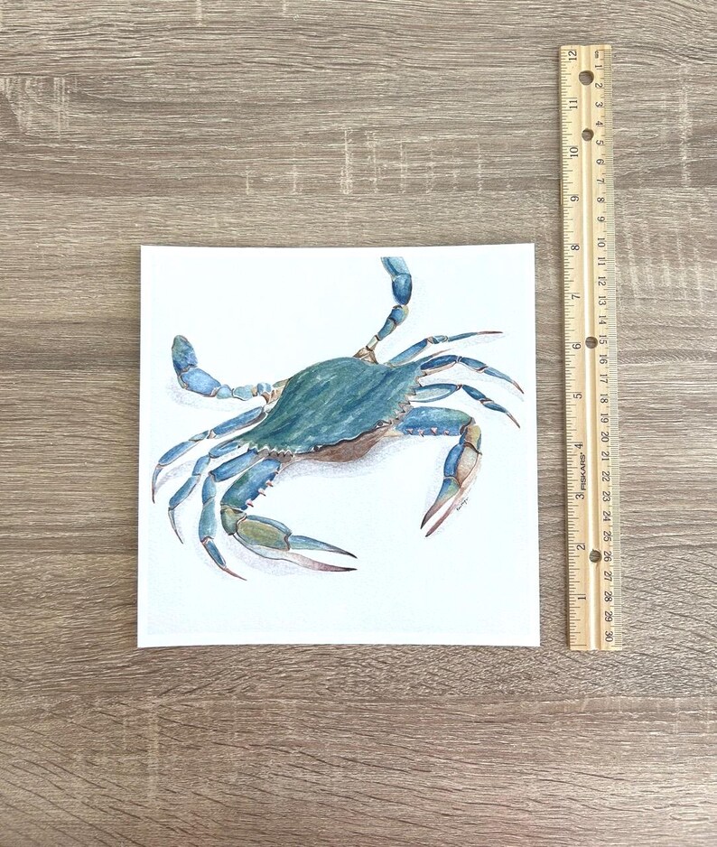 May include: Watercolour painting of a blue crab on white paper. The crab has a blue-green shell and blue claws. A wooden ruler is next to the painting, measuring approximately 25 cm in length. The artwork is displayed on a wooden surface.