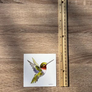 Hummingbird Watercolor Art, Bird Illustration image 7