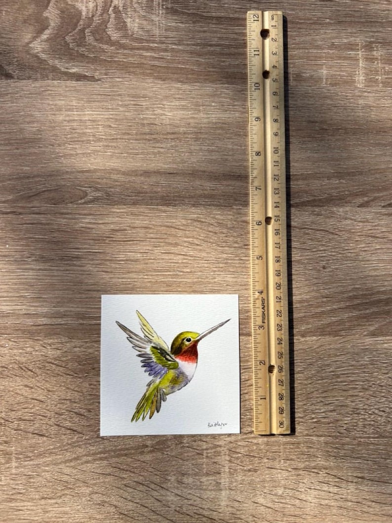 Hummingbird Watercolor Art, Bird Illustration image 7