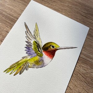 Hummingbird Watercolor Art, Bird Illustration image 4