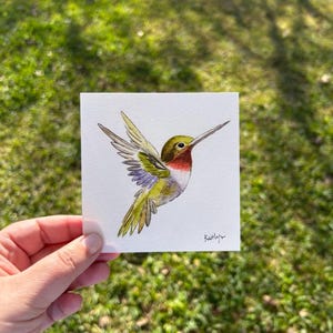 Hummingbird Watercolor Art, Bird Illustration image 5