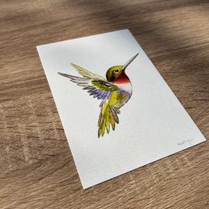 Hummingbird Watercolor Art, Bird Illustration image 2