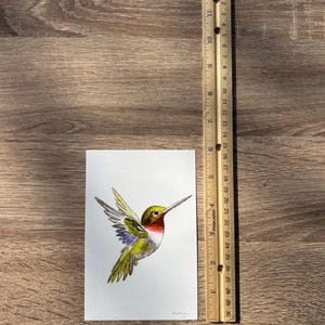 Hummingbird Watercolor Art, Bird Illustration image 8