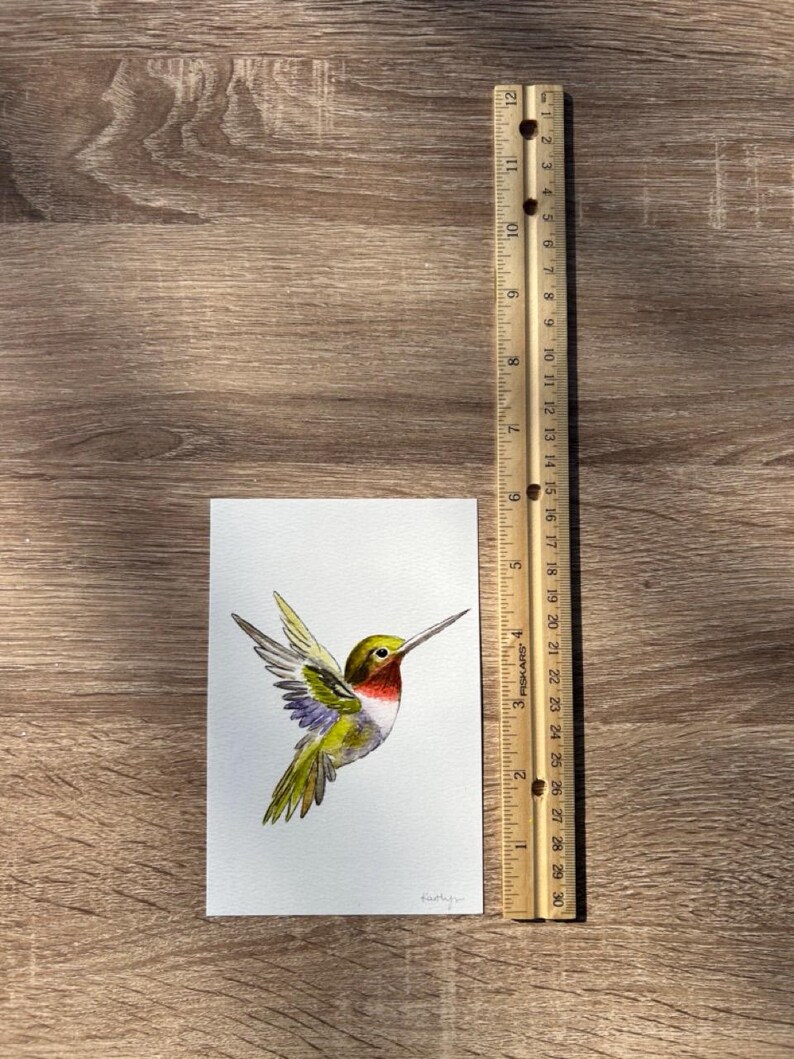 Hummingbird Watercolor Art, Bird Illustration image 8