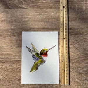 Hummingbird Watercolor Art, Bird Illustration image 9