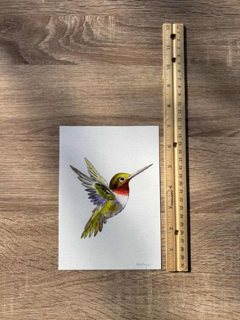 Hummingbird Watercolor Art, Bird Illustration image 9