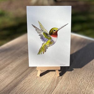 Hummingbird Watercolor Art, Bird Illustration image 6