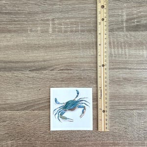 May include: A square ceramic tile with a blue crab illustration. The crab is rendered in shades of blue and green. A wooden ruler, marked in inches, is next to the tile. The tile is approximately 7.6 cm by 7.6 cm.