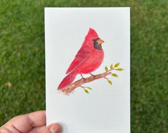 Watercolor Cardinal Print – Red Bird Nature Art – Cottagecore Decor