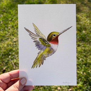 Hummingbird Watercolor Art, Bird Illustration image 1