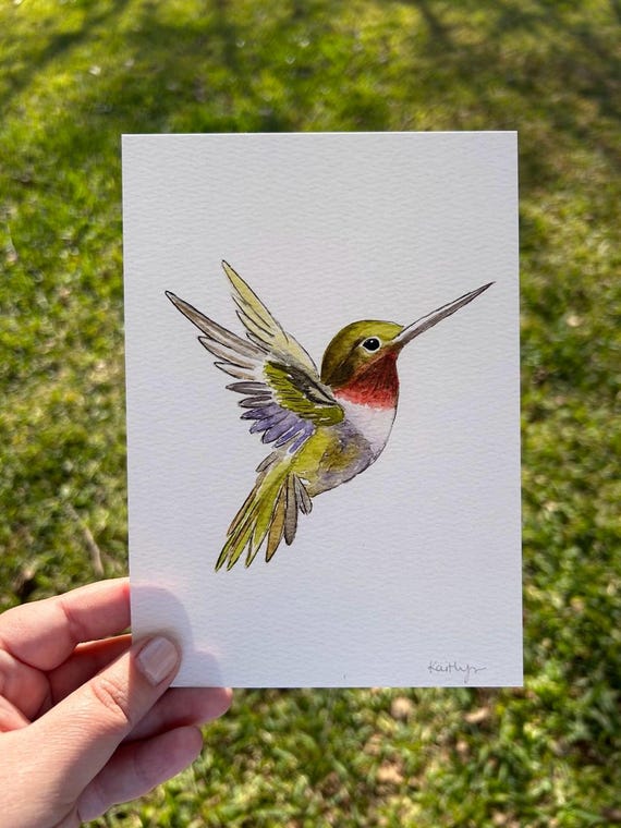 Hummingbird Watercolor Art, Bird Illustration
