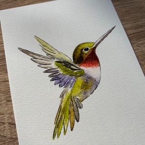 Hummingbird Watercolor Art, Bird Illustration image 3