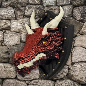 May include: A red dragon head sculpture mounted on a black wooden shield with metal studs. The dragon has white horns and a yellow eye.