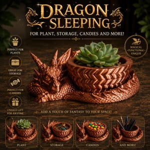 Può includere: Un contenitore color rame a forma di drago con una testa di drago addormentato e una ciotola circolare con un motivo a scaglie testurizzato. Il testo recita DRAGON SLEEPING FOR PLANT, STORAGE, CANDIES AND MORE! ADD A TOUCH OF FANTASY TO YOUR SPACE!