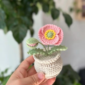 May include: A crocheted pink flower with a yellow center in a small white crocheted pot. The flower is sitting on a hand.