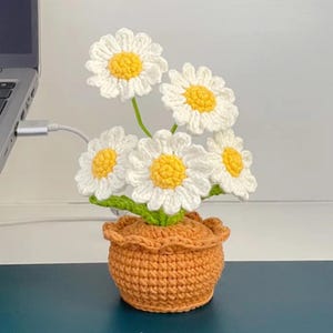 Patrón de maceta de margaritas a crochet: Decoración floral amigurumi DIY (Patrón PDF)