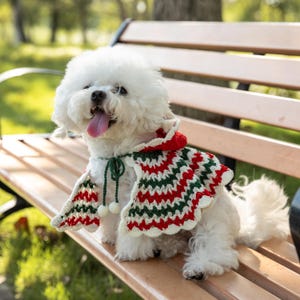 French Bulldog Christmas Dress - Etsy