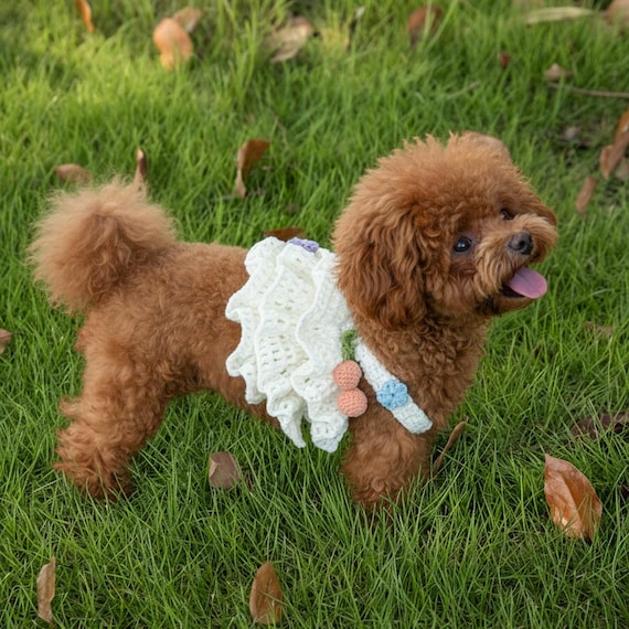 dog dress crochet Dog Dress Crochet Pattern in 4 sizes #495 Crochet pattern by ShiFio's Patterns
