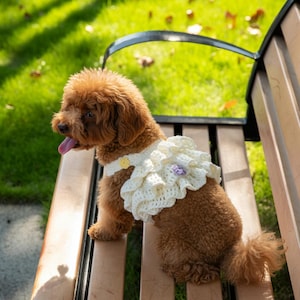 Crochet Pet Cake Skirt Pattern: Dog Dress, Beginner-Friendly (PDF)