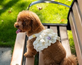 Crochet Pet Cake Skirt Pattern: Dog Dress, Beginner-Friendly (PDF)
